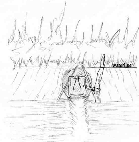 Live Trap Plans Build Your Own Box Trap