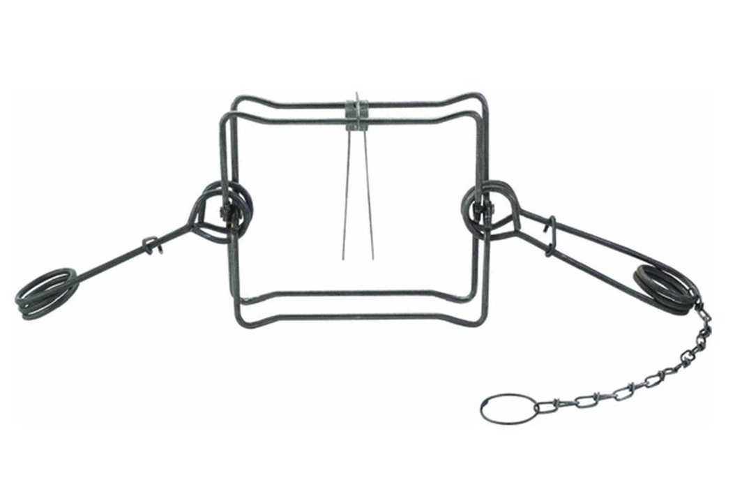 Fur Traps Which Type Is The Best?