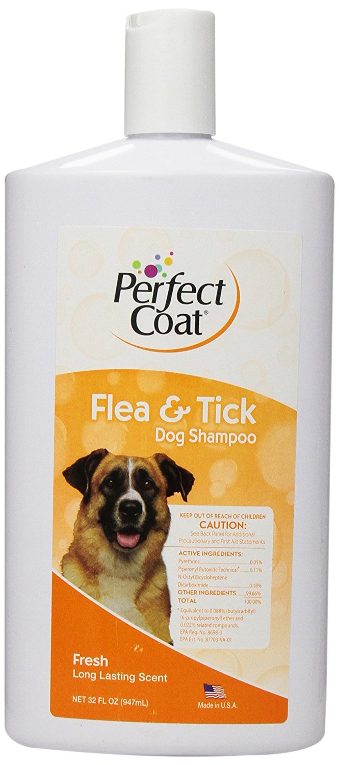 Pet Flea Control What's The Best Treatment?