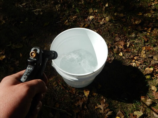 chipmunk / rodent bucket trap 