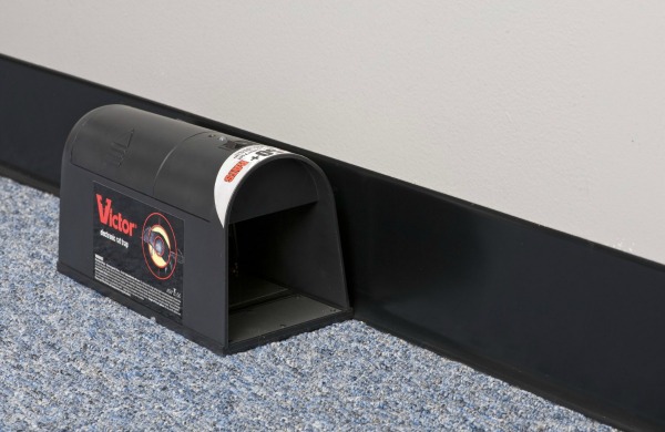 Victor Electronic Rat Trap Review - The Perfect Trap Choice?