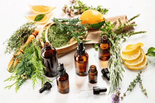 Essential oil to get shop rid of ants