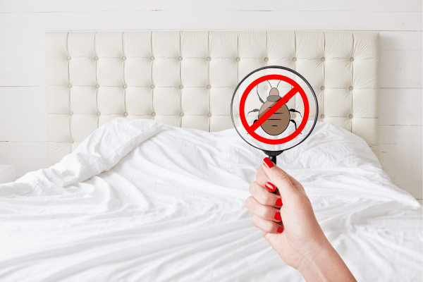 get-rid-of-bed-bugs1 get-rid-of-bed-bugs1