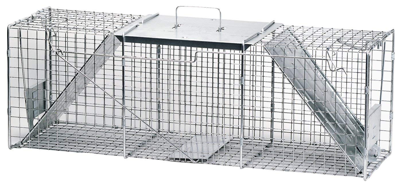 Trapping Groundhogs - How To Trap A Woodchuck