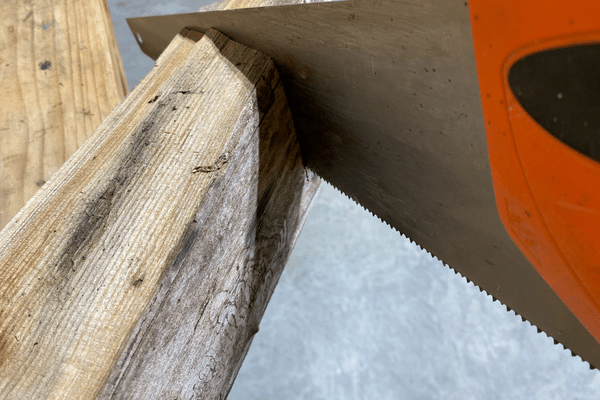 Block of ash firewood being cut with a handsaw