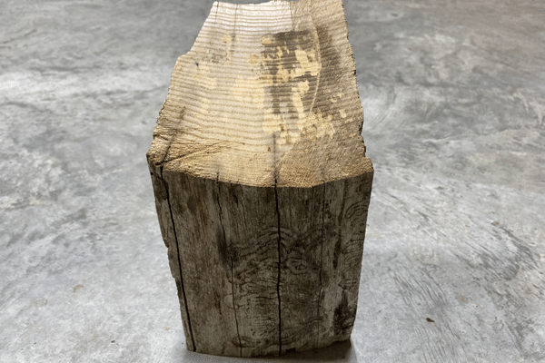 Piece of ash firewood with Emerald Ash Borer damage