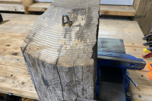 Attaching a staple to a carpenter bee trap