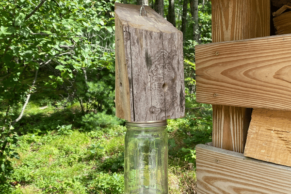 DIY Carpenter Bee Trap - Homemade Trap That Works!