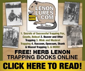 lenonlures-free-book-ad