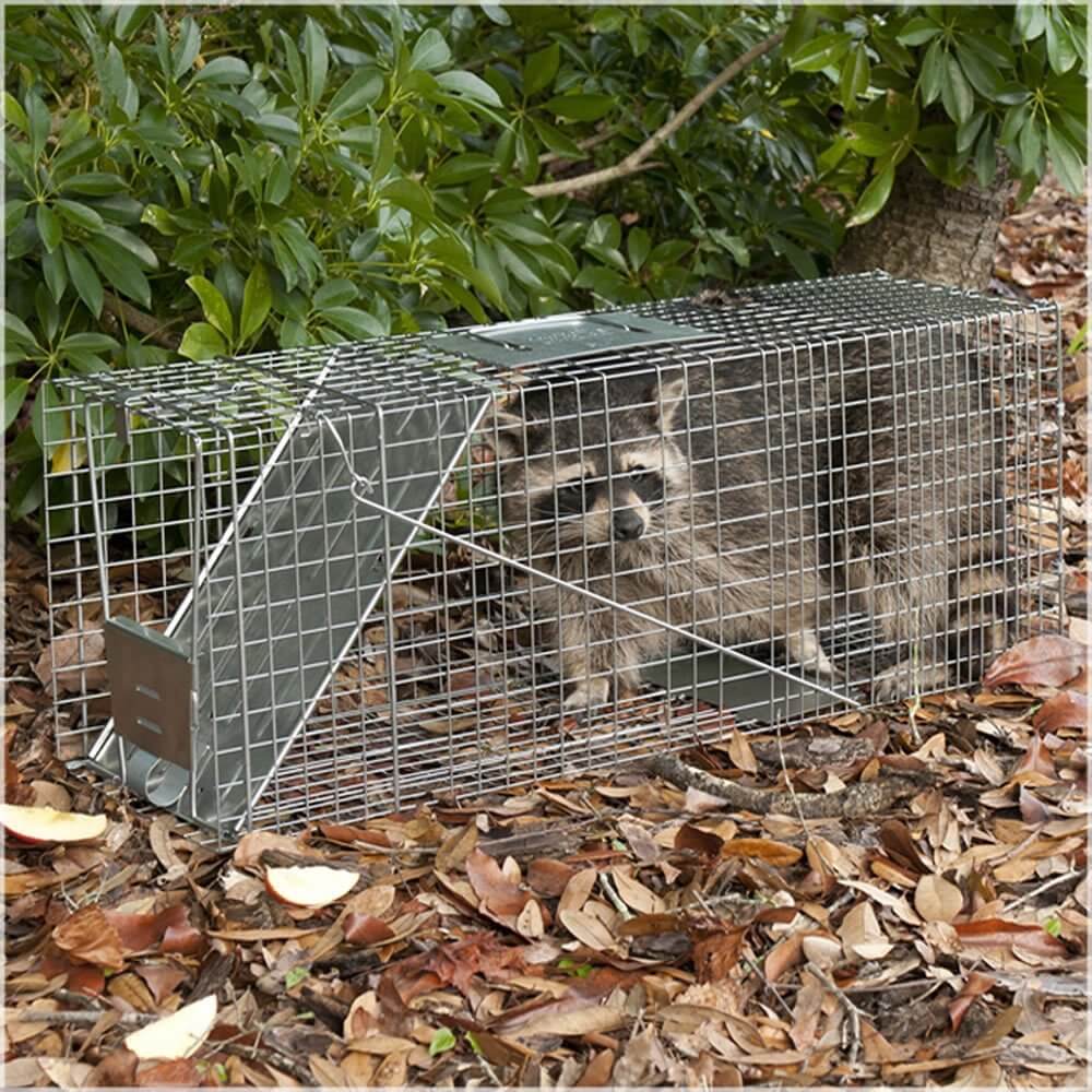 Types of live cage traps used in the study: (a) custom-made trap