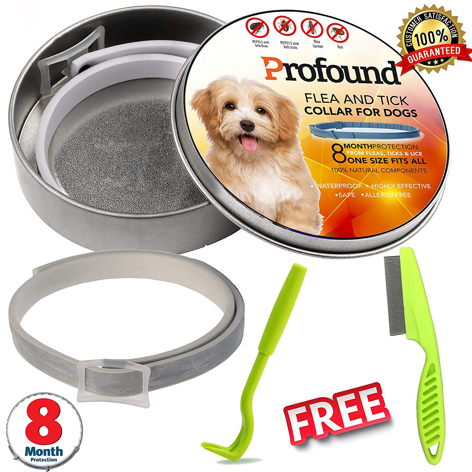 Safe And Natural Flea Protection Home And Pet Control