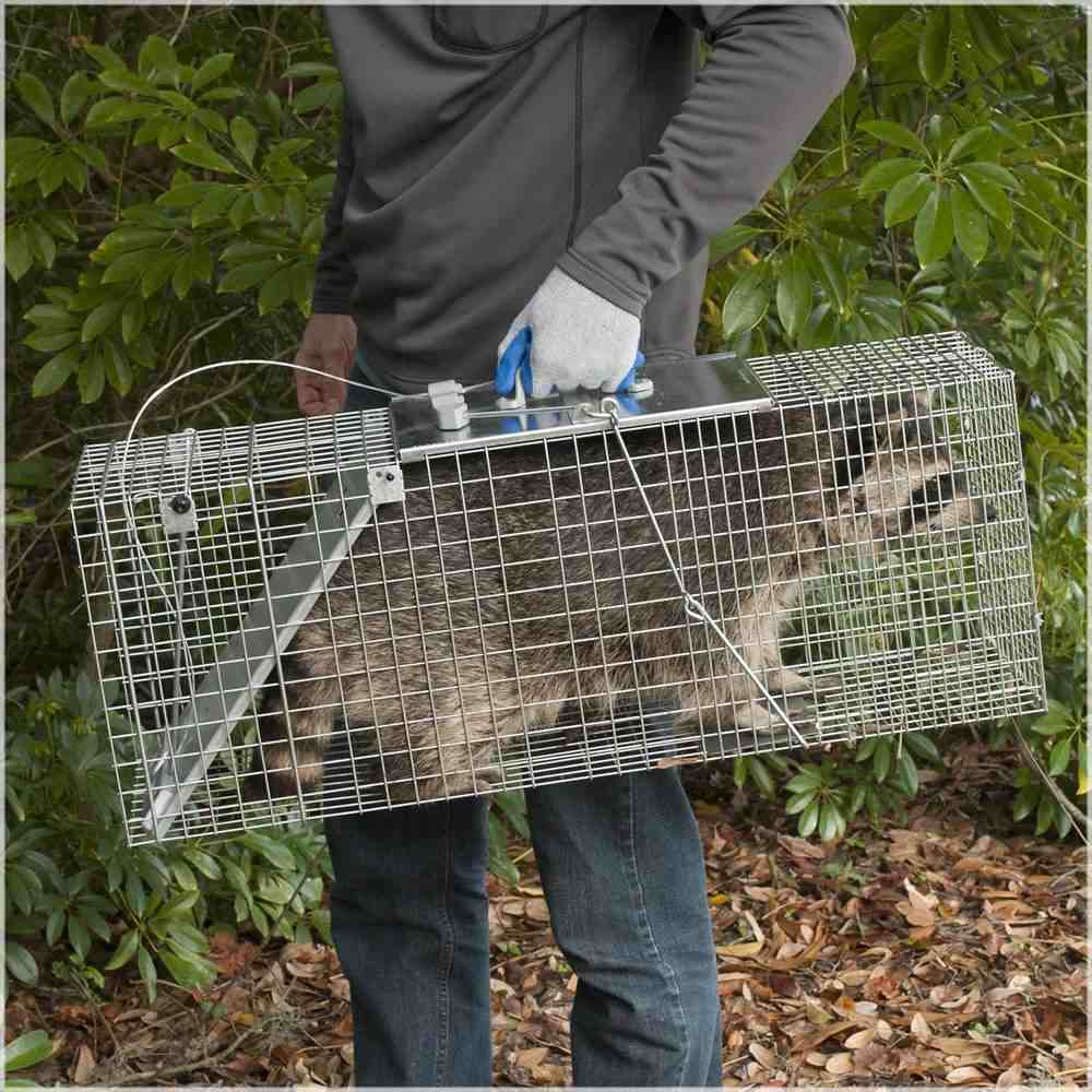 Squirrel Guard Squirrel Multi-Catch Animal Trap - Live Animal Trap for