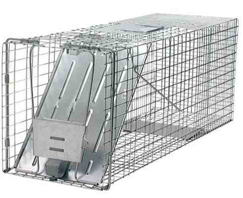 porcupine trap, porcupine traps, porcupine cage, porcupine cages, porcupine  trapping, porcupine removal, porcupine equipment, porcupine control,  nuisance porcupine, porcupine box, porcupine humane trap, live trapping,  live traps, live trap, have-a