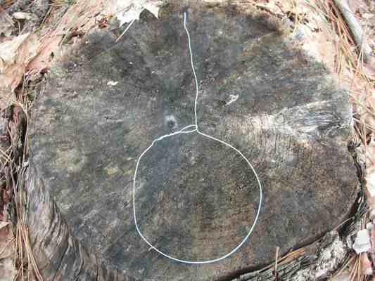 Setting A Rabbit Snare An Easy Rabbit Trap Setting A Rabbit Snare An Easy Rabbit Trap