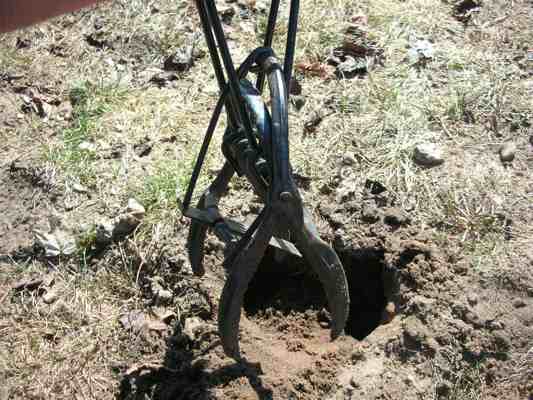 Victor Mole Trap Review - Best Mole Trap?